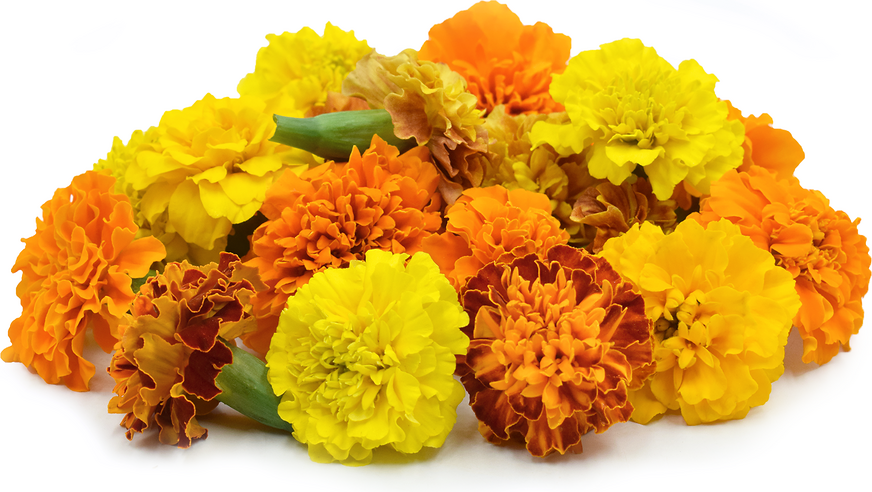 Flowers - F2