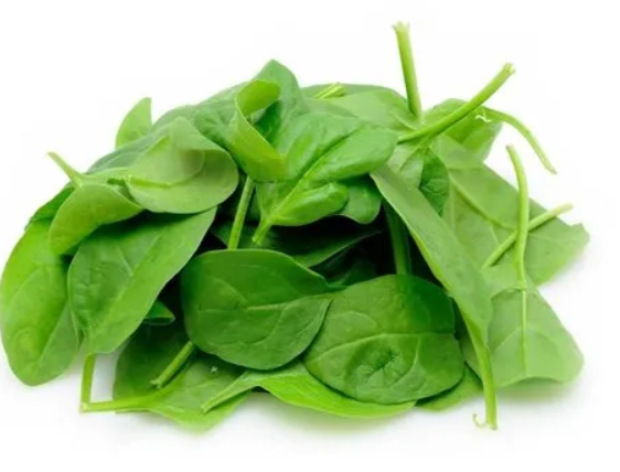 Spinach - F2