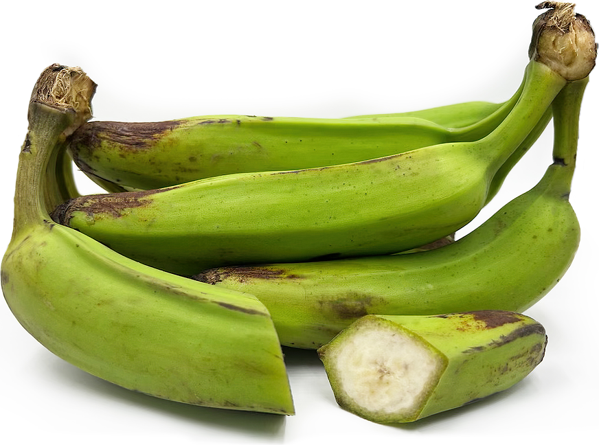 Curry Banana - F1